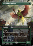 Birds of Paradise (Borderless)