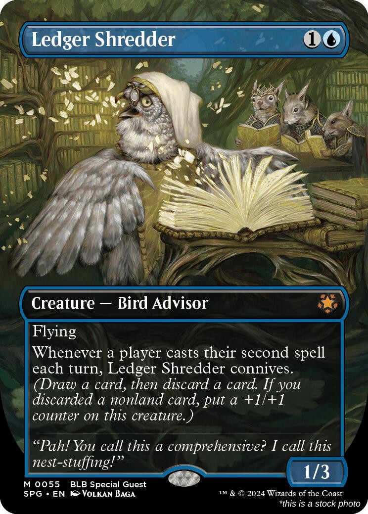 Ledger Shredder (Borderless)