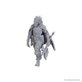 D&D Nolzur's Marvelous Miniatures: Dragonborn of Tiamat
